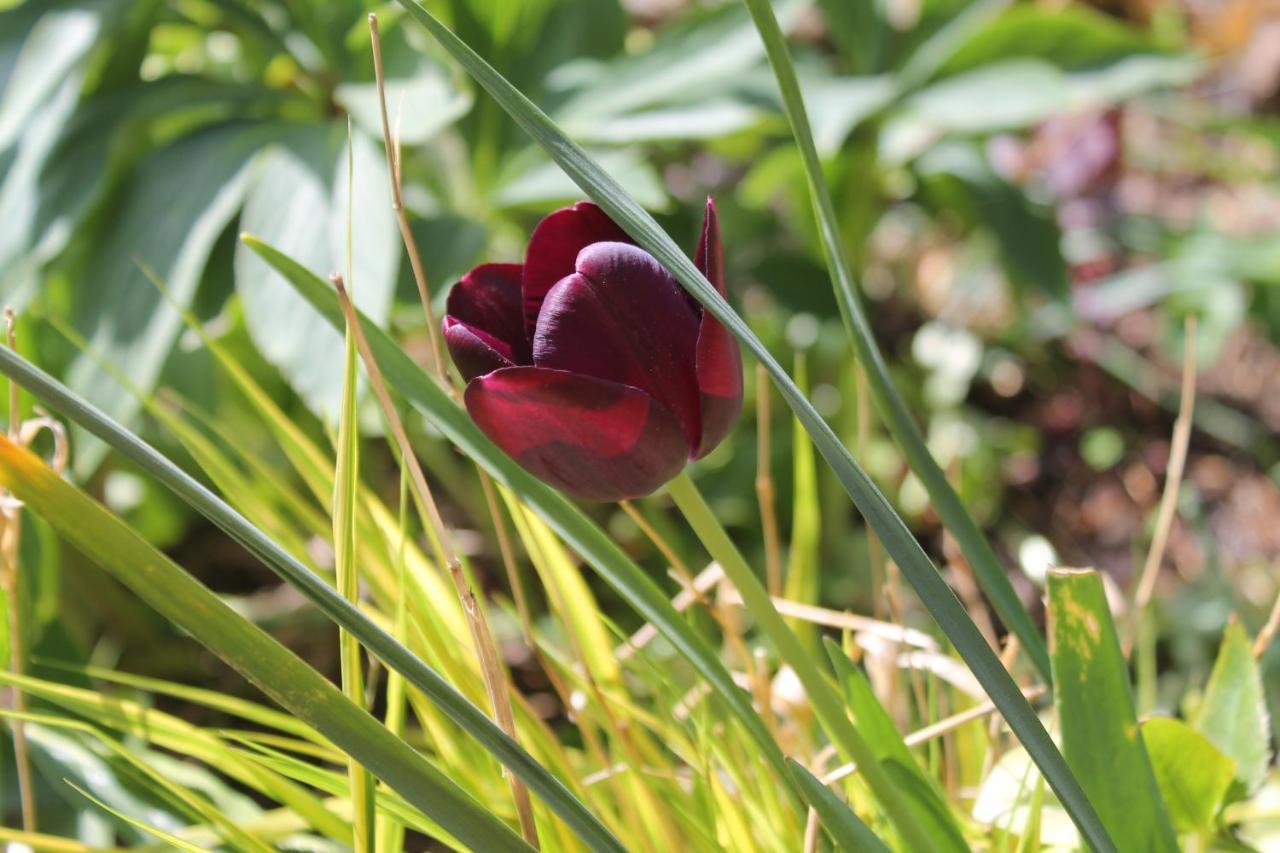 Appartamento Maison Mille Fleurs Sankt Julian Esterno foto