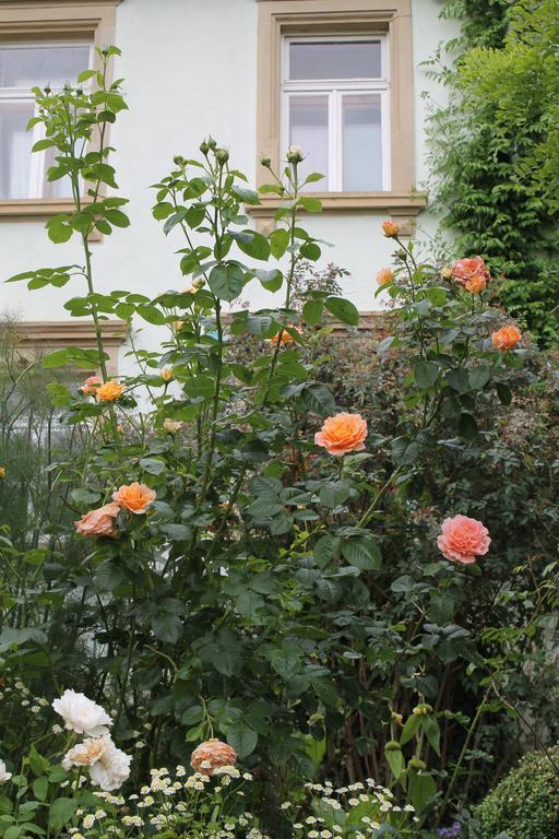 Appartamento Maison Mille Fleurs Sankt Julian Esterno foto