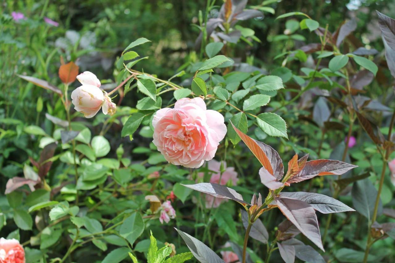 Appartamento Maison Mille Fleurs Sankt Julian Esterno foto