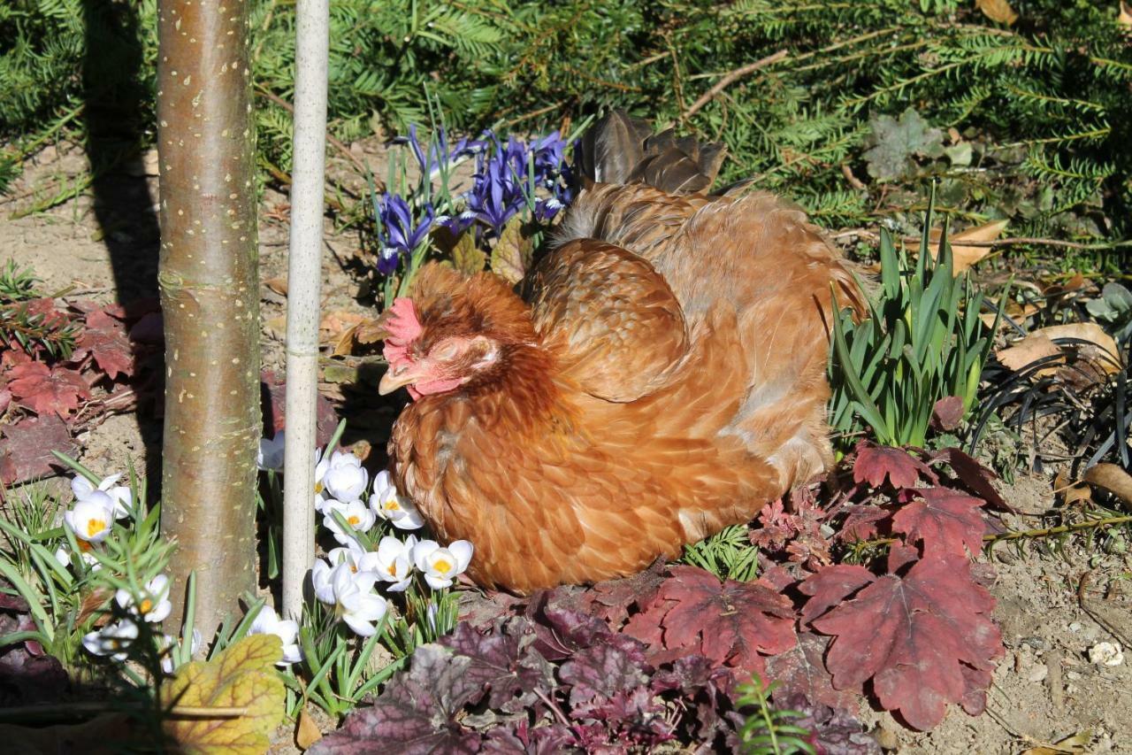 Appartamento Maison Mille Fleurs Sankt Julian Esterno foto