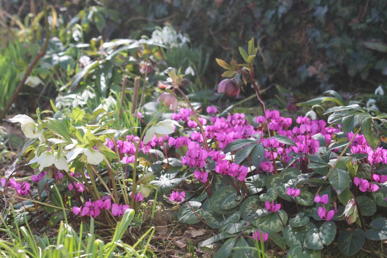 Appartamento Maison Mille Fleurs Sankt Julian Esterno foto